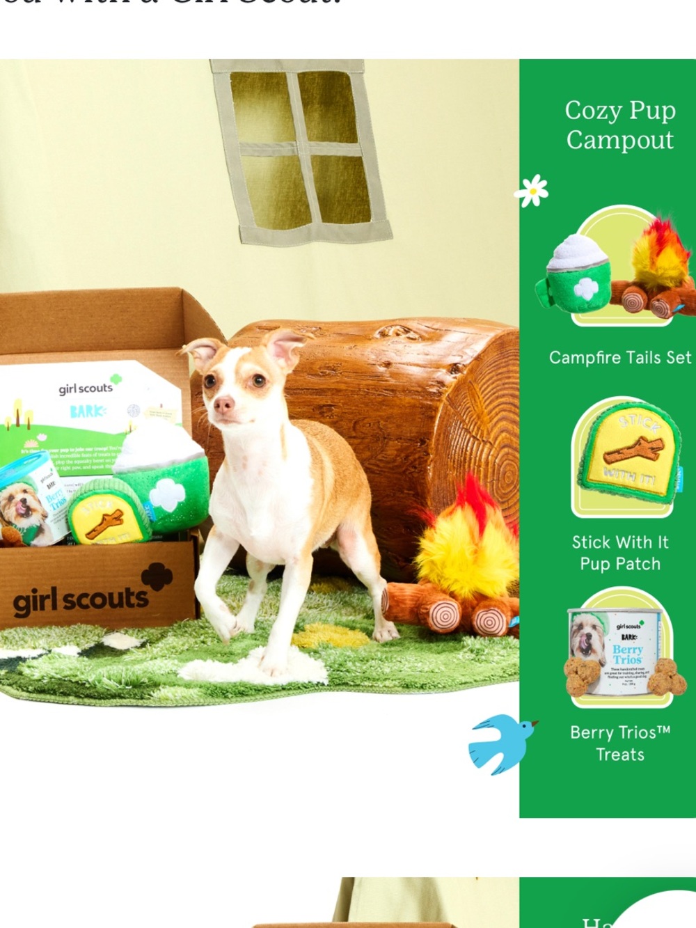 NWT BarkBox x Girl Scouts Campfire Tails Set